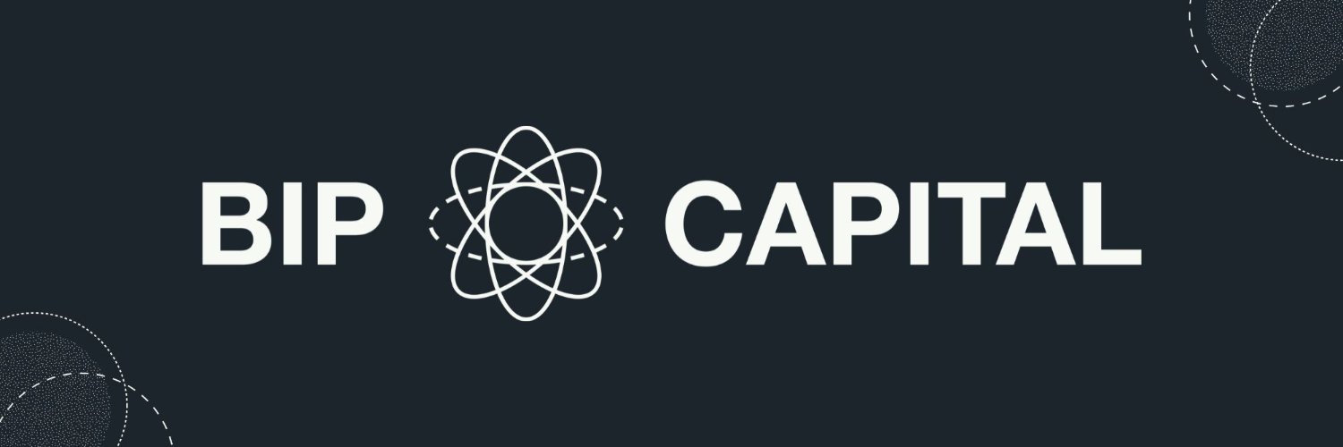 BIP Capital banner