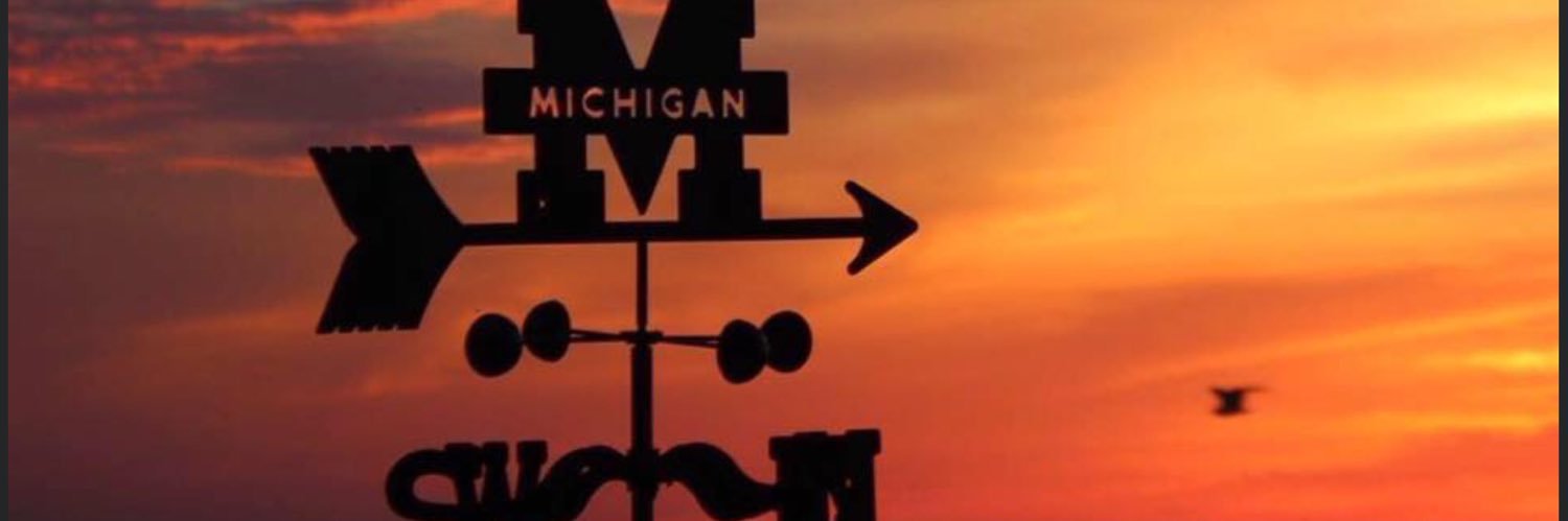 docgoblue's profile banner image