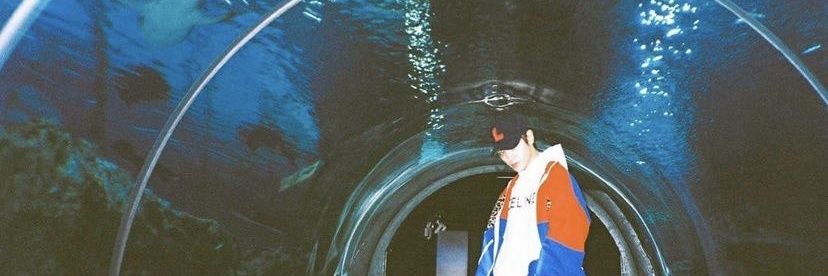 dotaejungs's profile banner image