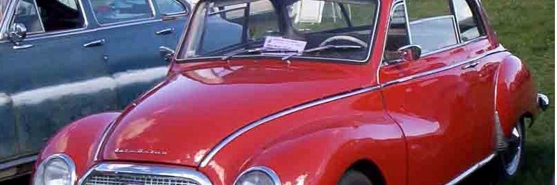 Tanzbär 🇪🇺🏳️‍🌈🇩🇪 5* geimpft, 2*genesenMSc MA banner