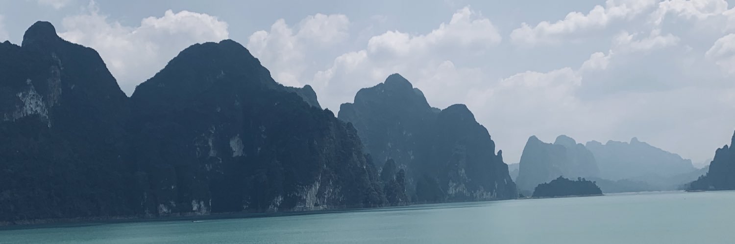 ninagudbjorg's profile banner image