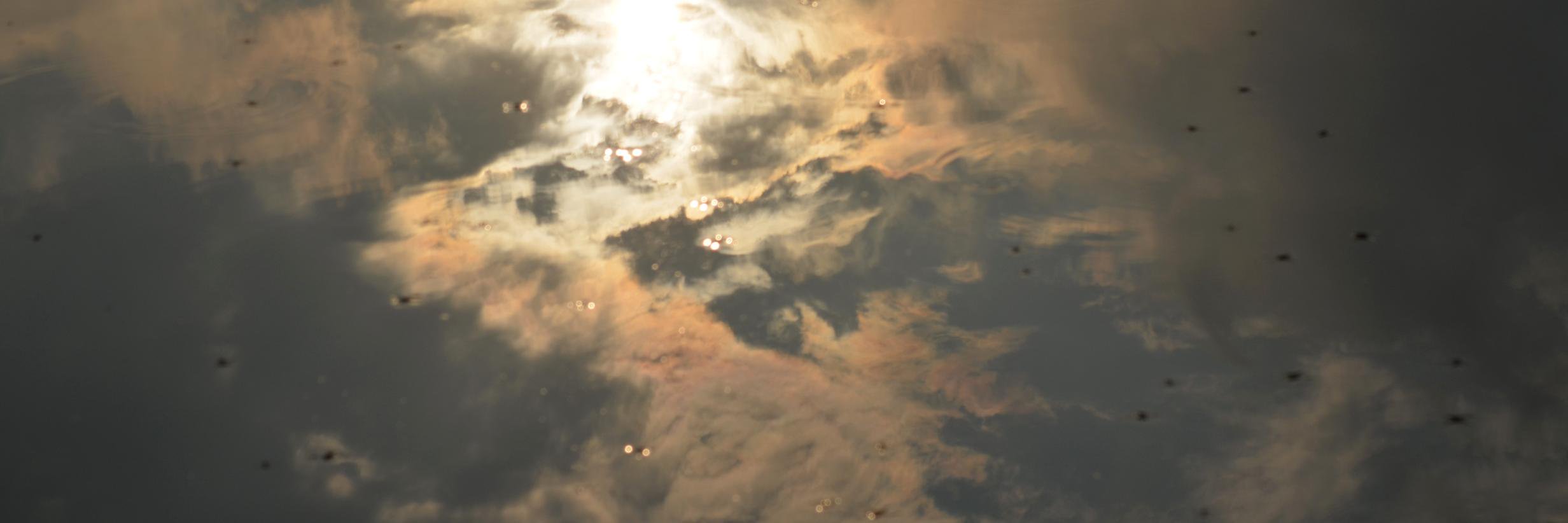 alicedejong's profile banner image