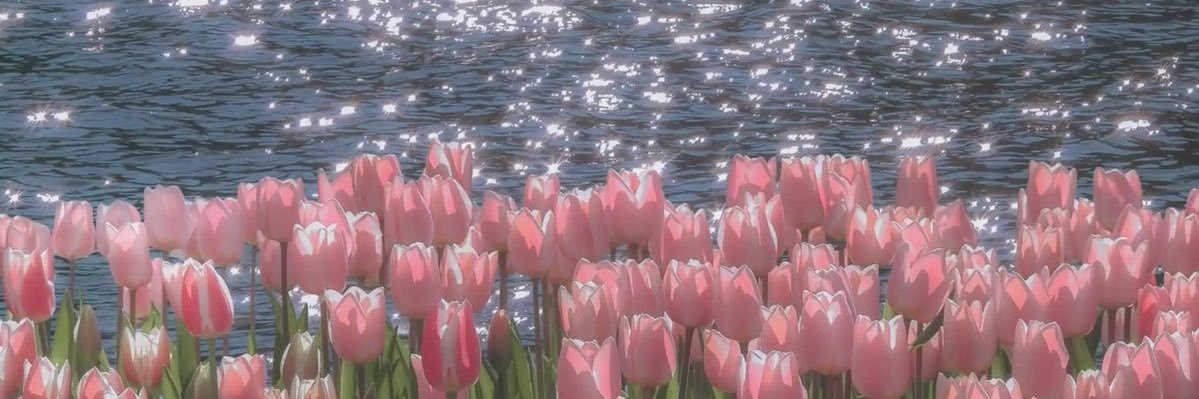 мαяιαн ѕα∂є (shawtyy) banner