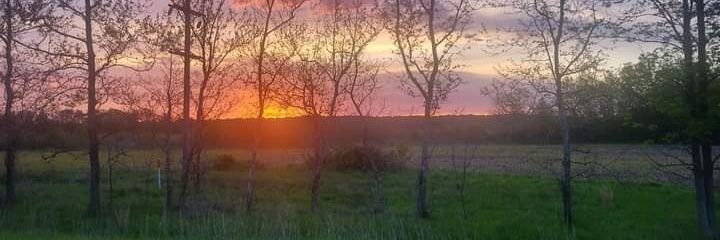 XimenaBasauri's profile banner image