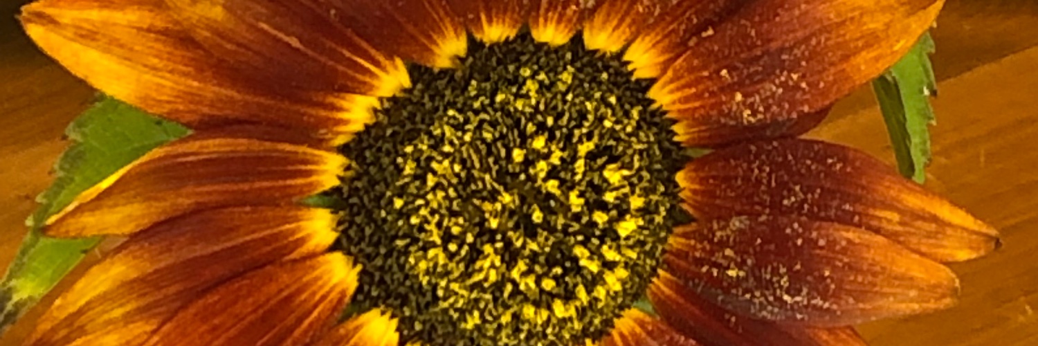 AndocheJ's profile banner image