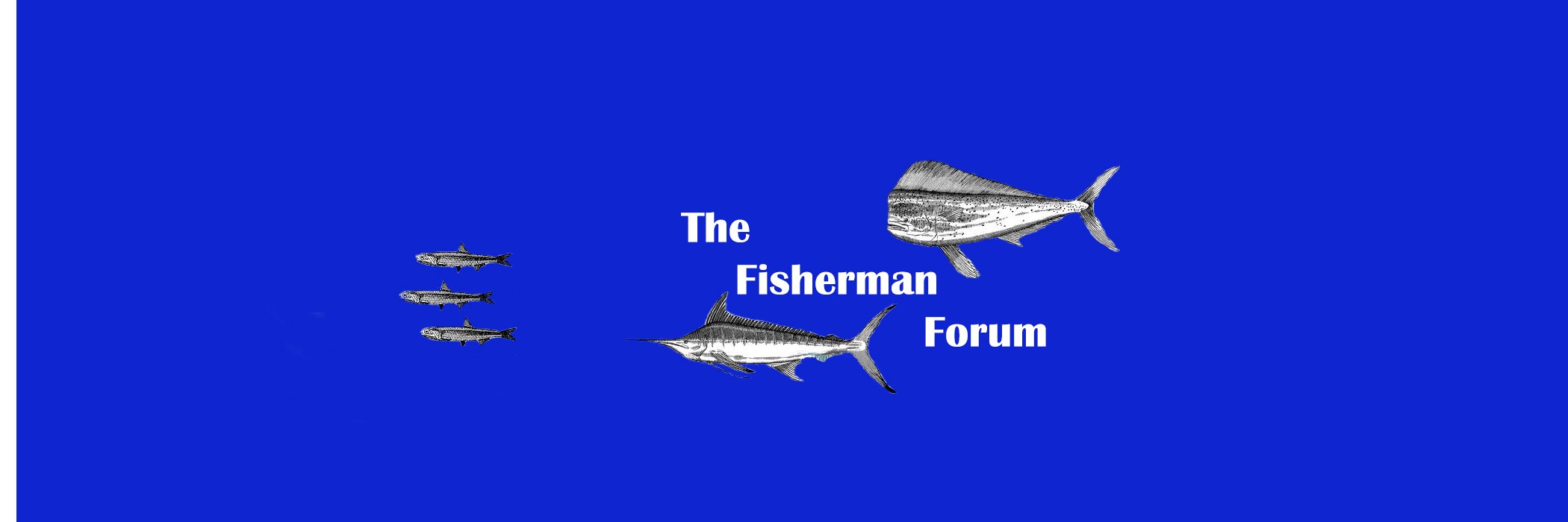 Fisherman_Forum's profile banner image