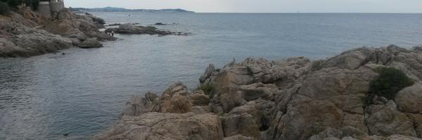 EduDori Profile Banner