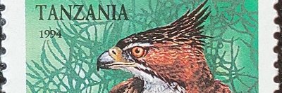 r_arman2's profile banner image