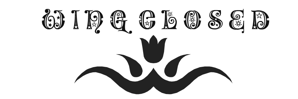 WingClosed's profile banner image