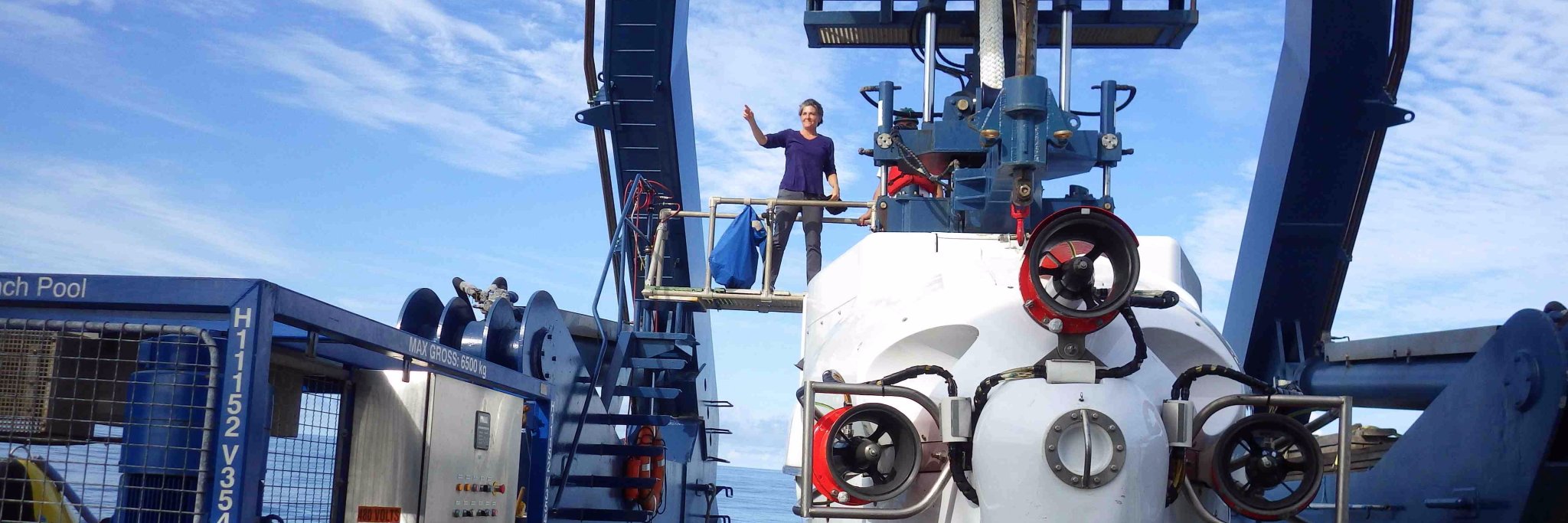 Shana Goffredi banner