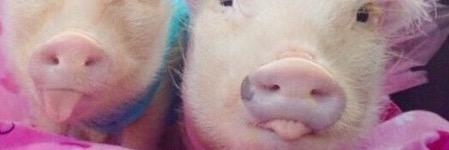 JennyCMarshall's profile banner image