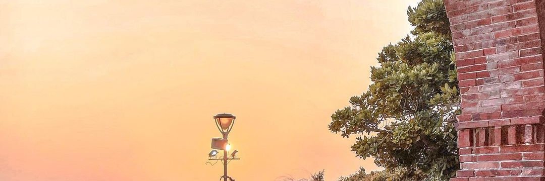 P16747's profile banner image