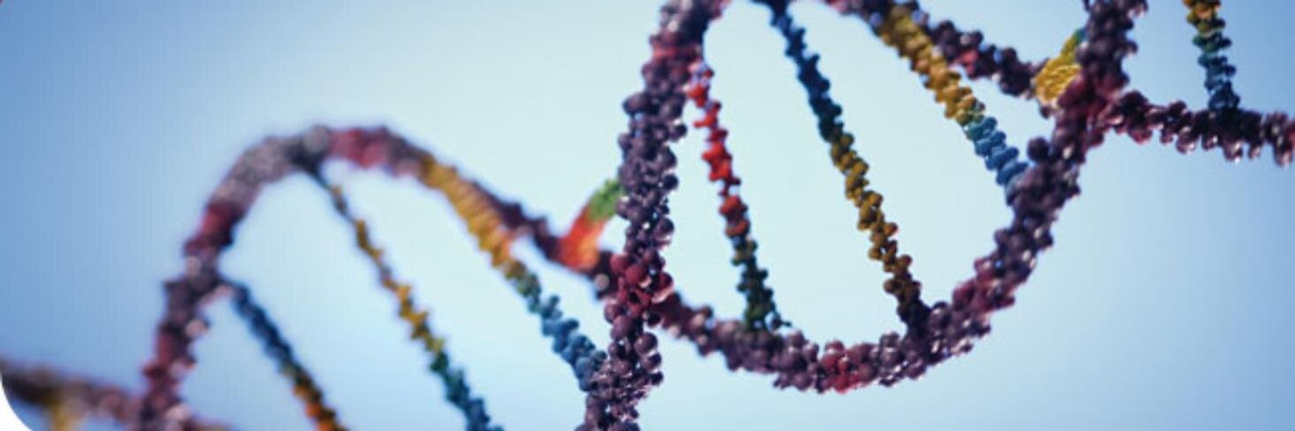 Genetic Counseling Graduate Program at Ohio State banner