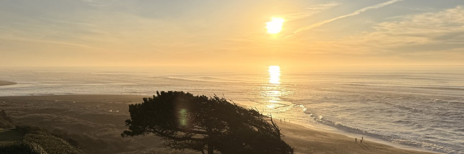 WompSaidSo's profile banner image