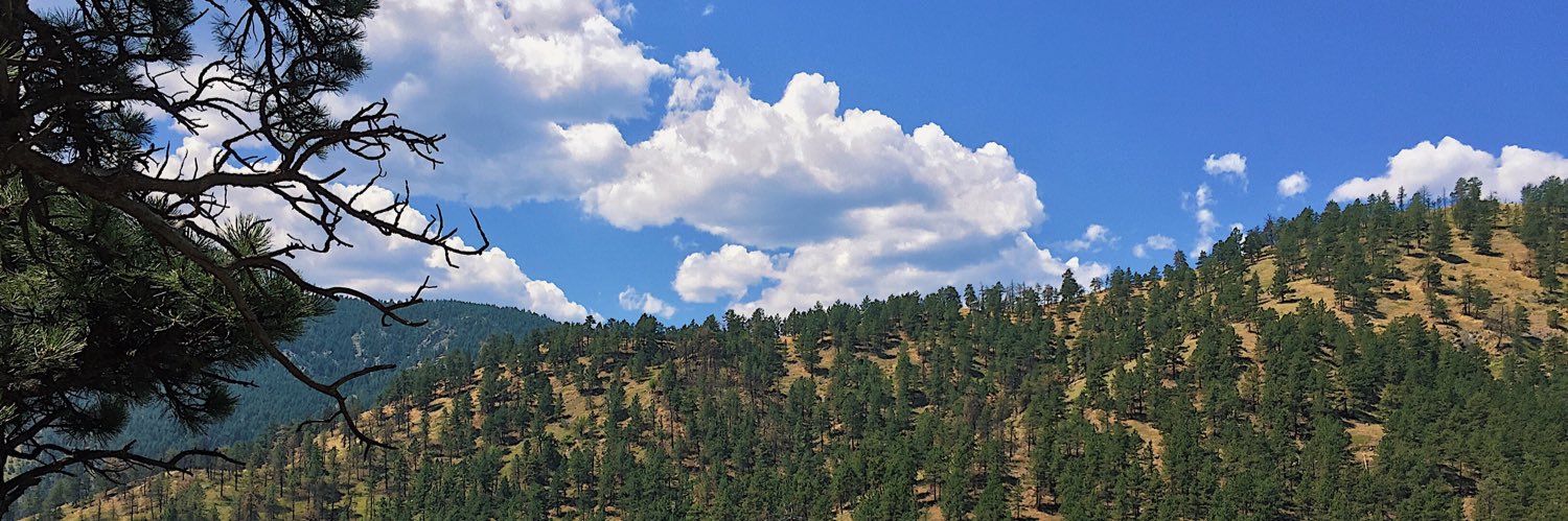 Adrian J. Segura banner