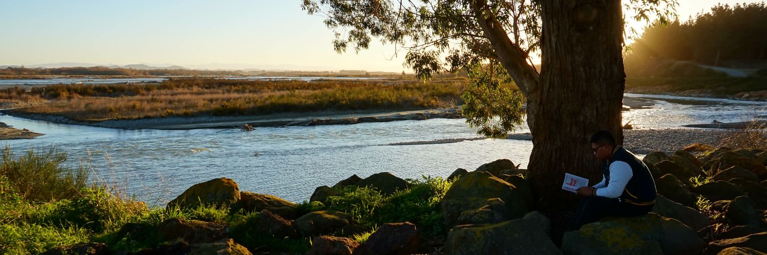 nfllmm's profile banner image