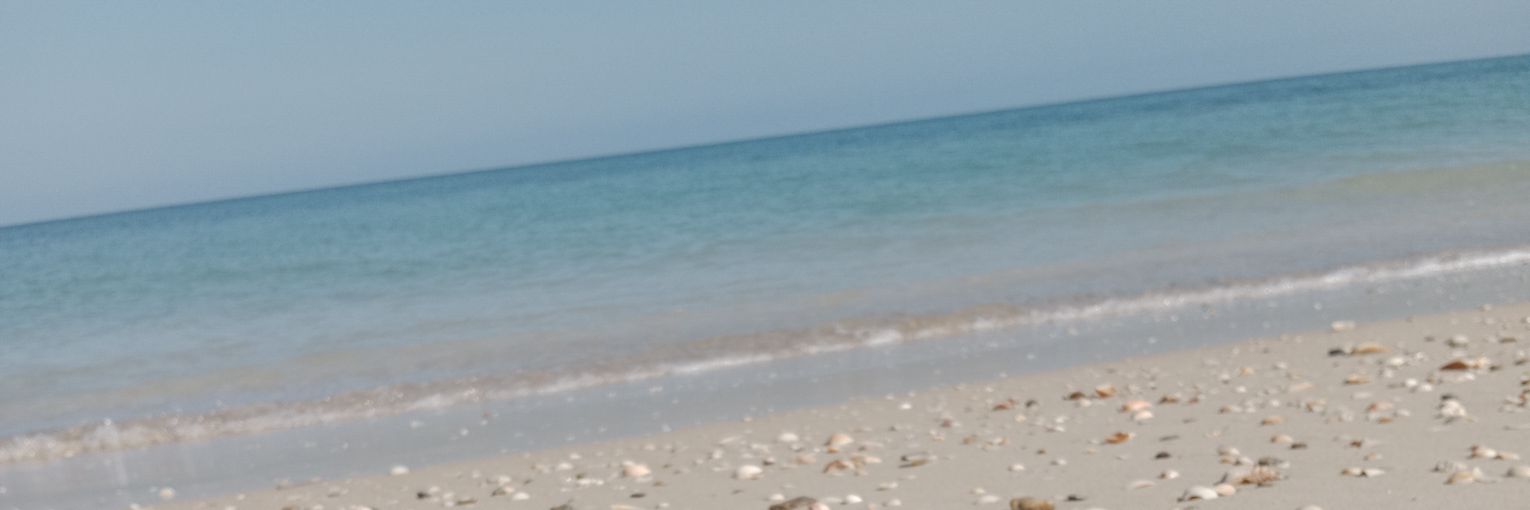 erdahucan's profile banner image