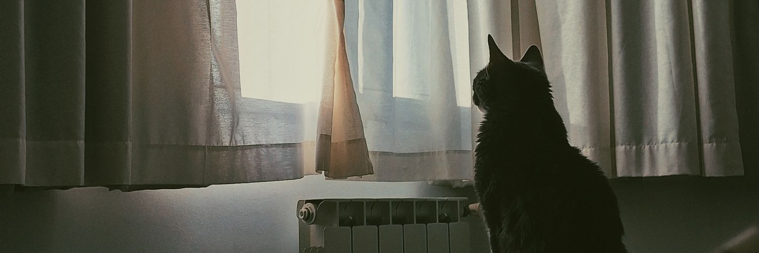 mjuliaanton's profile banner image