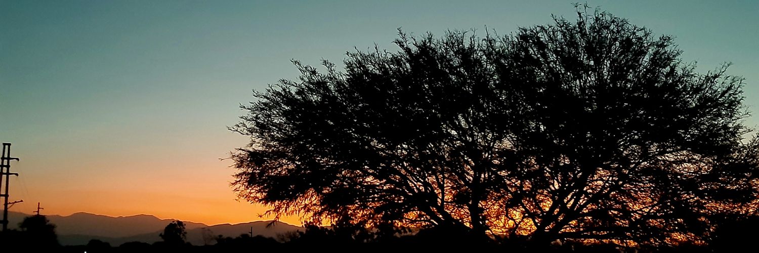 Redactora 👩🏽‍💻 banner