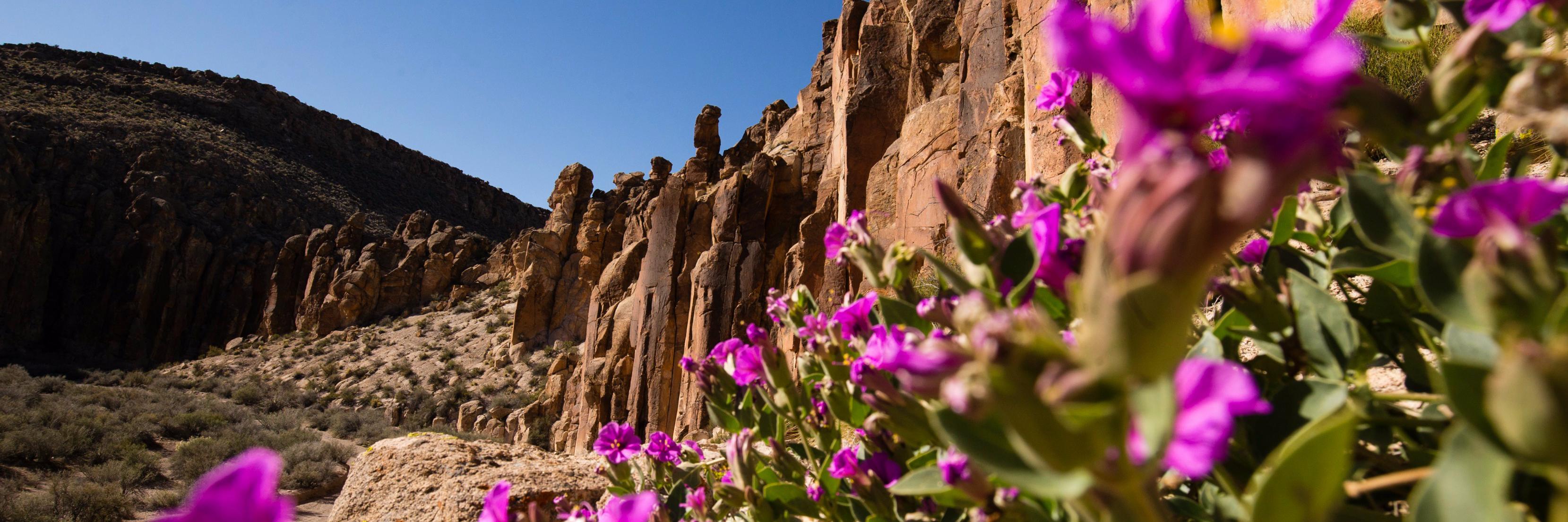YourPublicLands's profile banner image