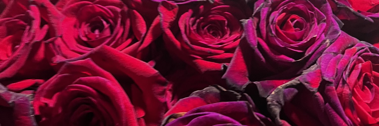 brishaex's profile banner image