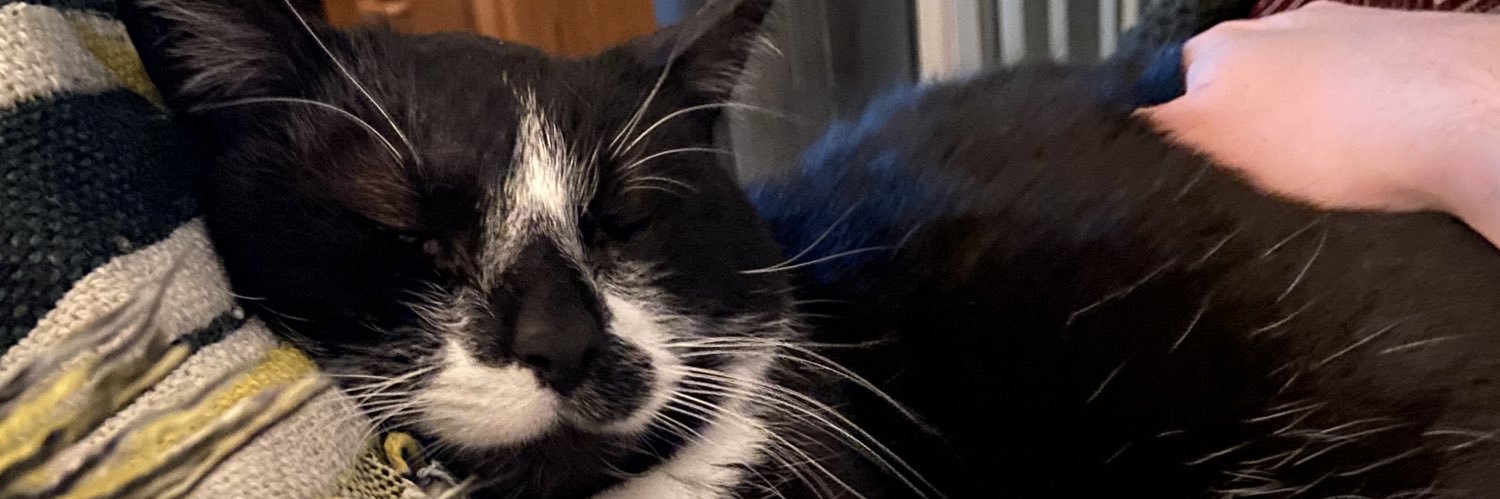 TweeterLeGrand's profile banner image