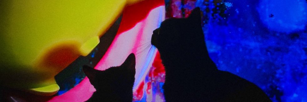 annroe_'s profile banner image