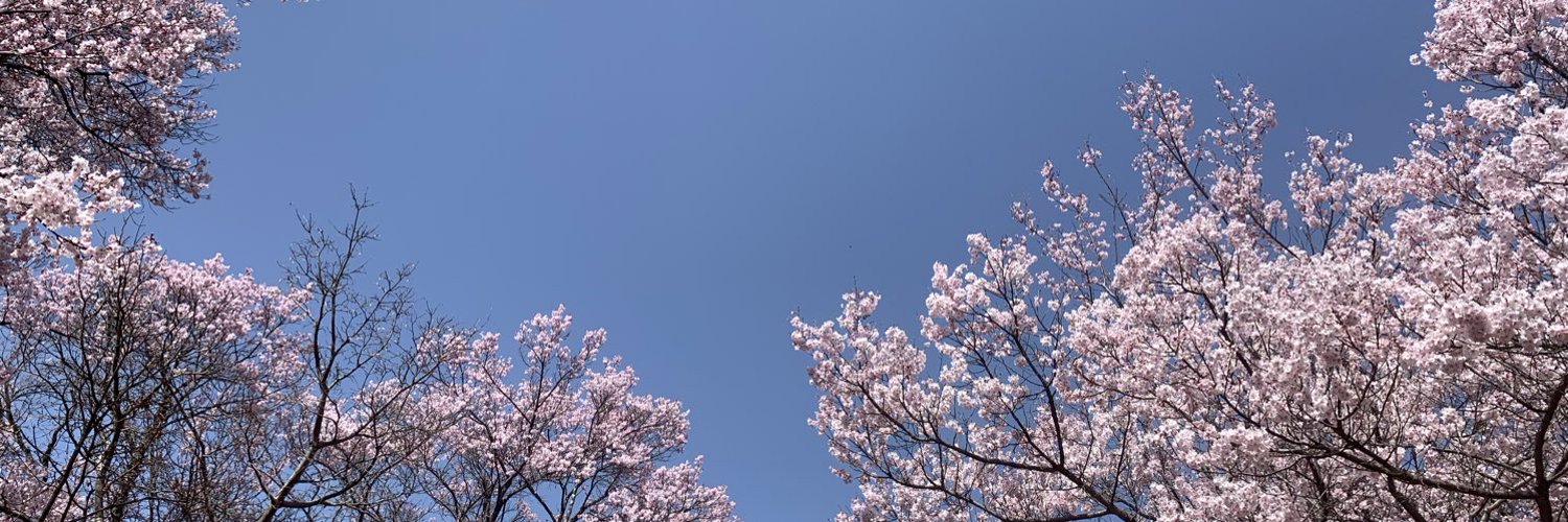 dorarincho's profile banner image