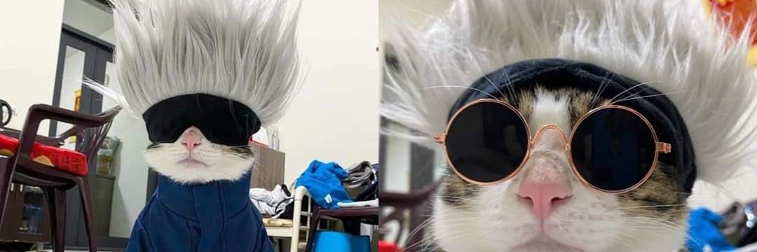 RyFlexin banner