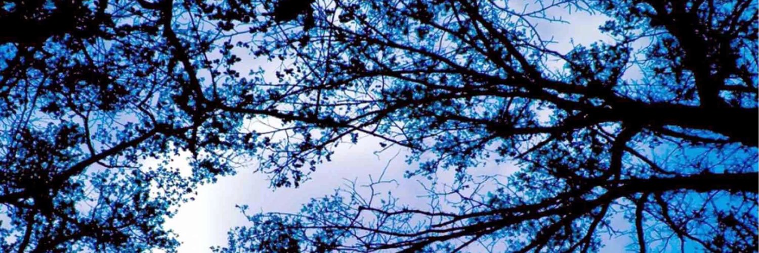 WhoaDrea's profile banner image