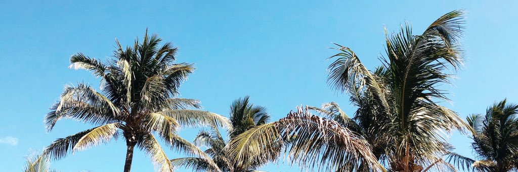 katelovespizzaa's profile banner image