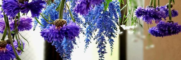 MachikoHumming Profile Banner