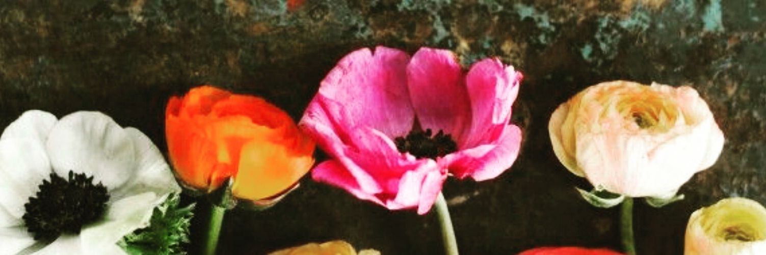 jisselod's profile banner image