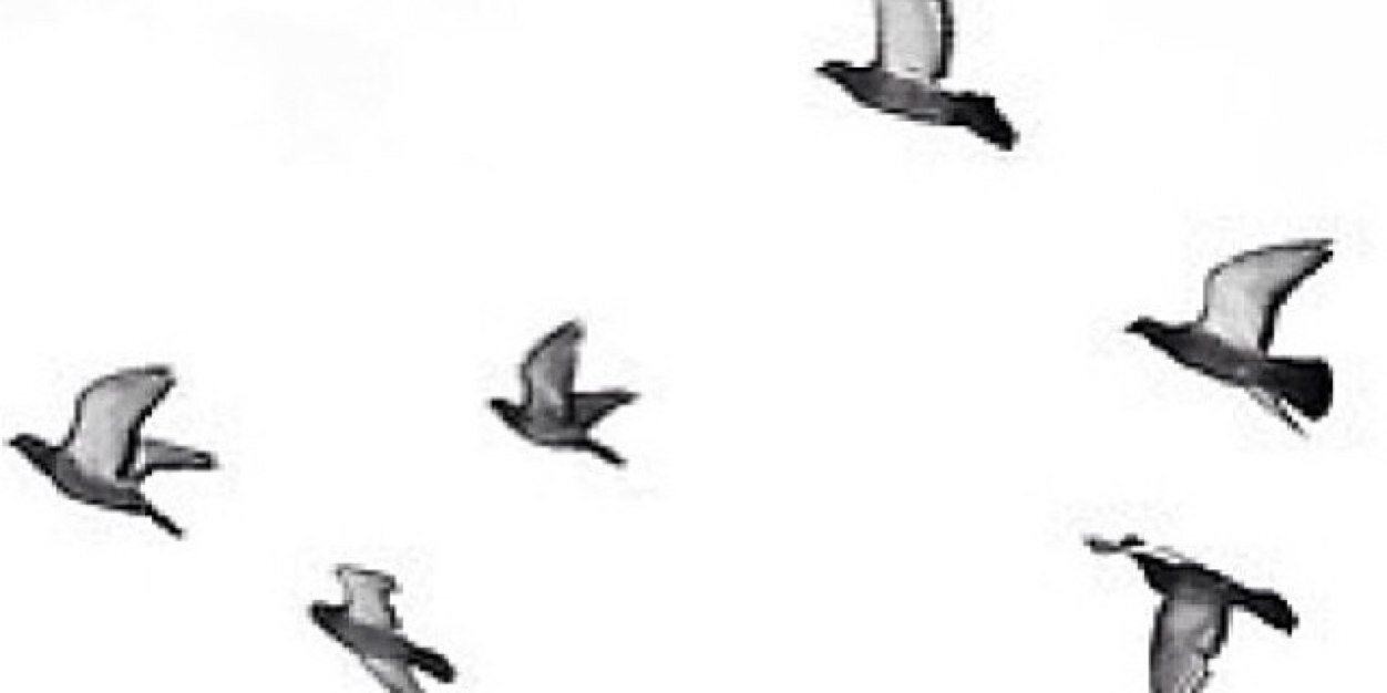 mandi_kbye's profile banner image