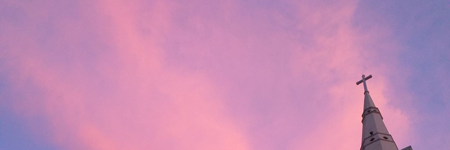 alinebrasiil_'s profile banner image