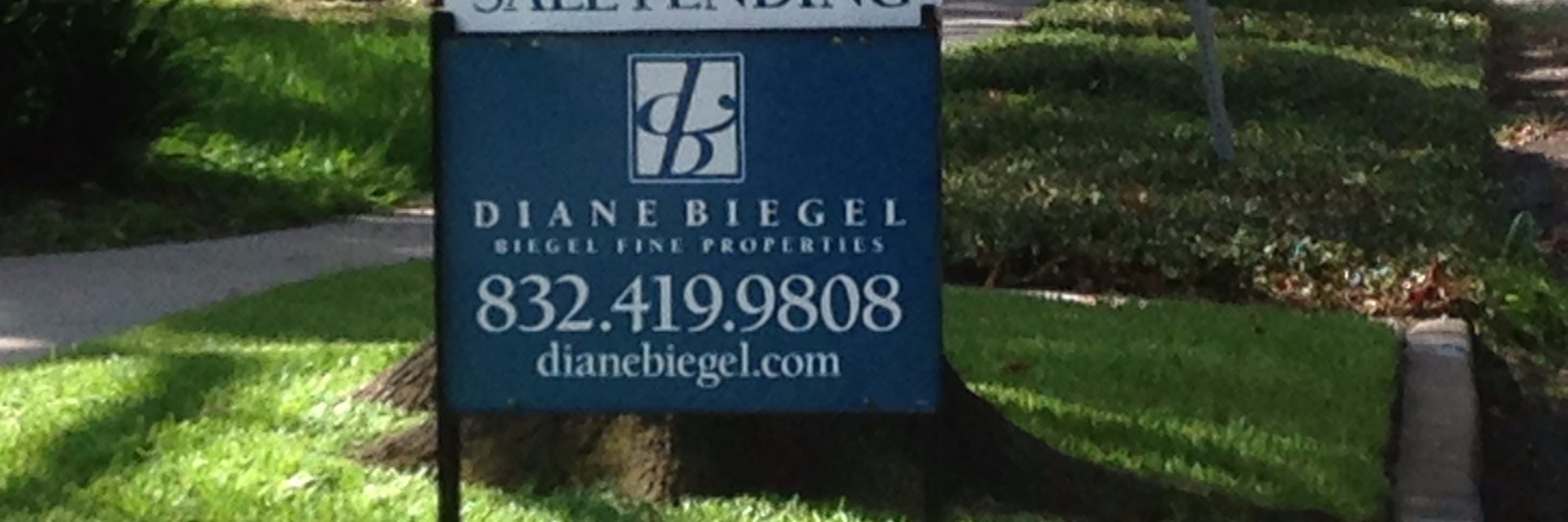 Diane Biegel banner