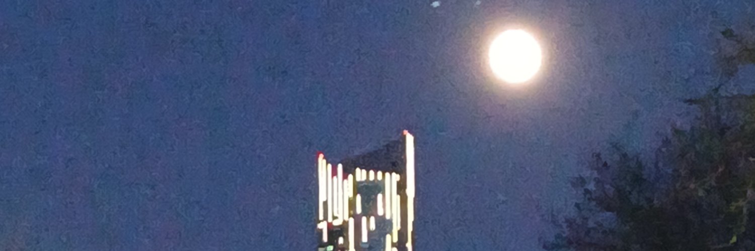 Lizadellic's profile banner image