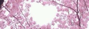 waina_ula's profile banner image