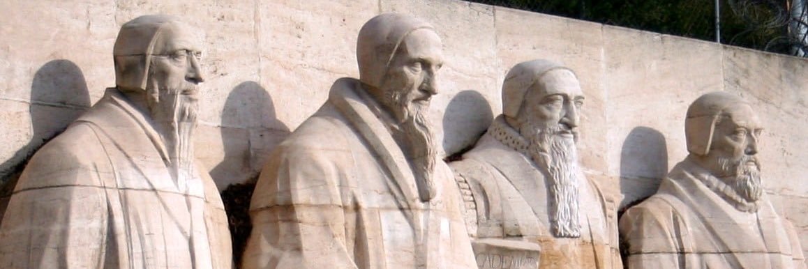 Don Mills 🥋 banner