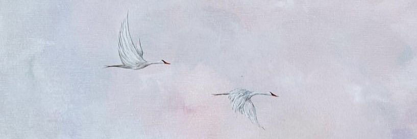 zohaali96's profile banner image