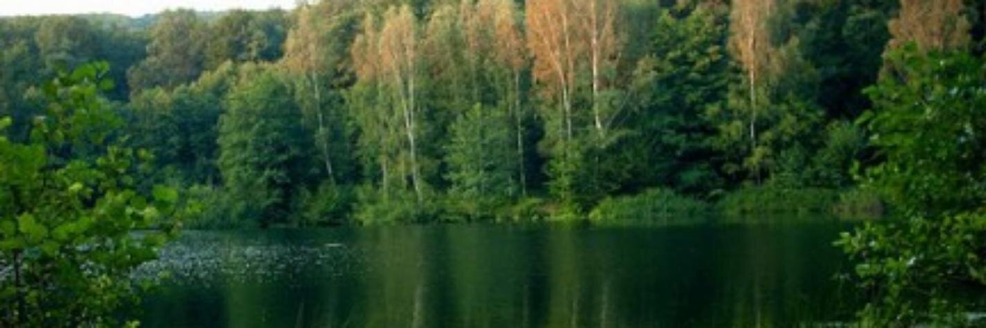 Sunshine Summer Camp banner