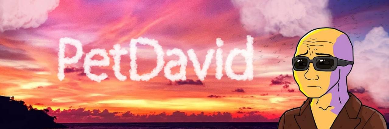PetDavidSol's profile banner image