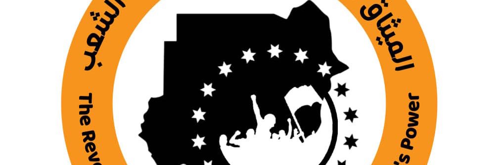 nelusudan's profile banner image