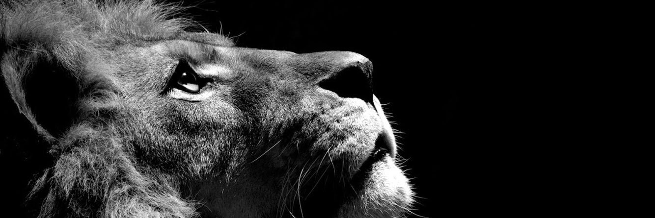 Coach_Clark95's profile banner image