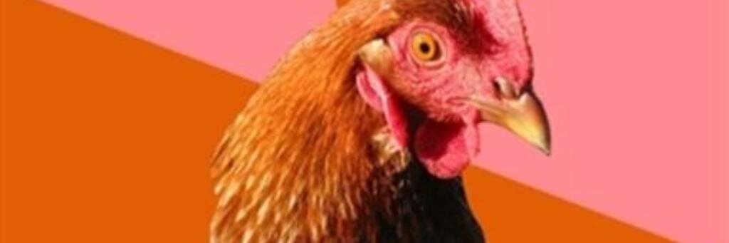 Nicholas Witchell  banner