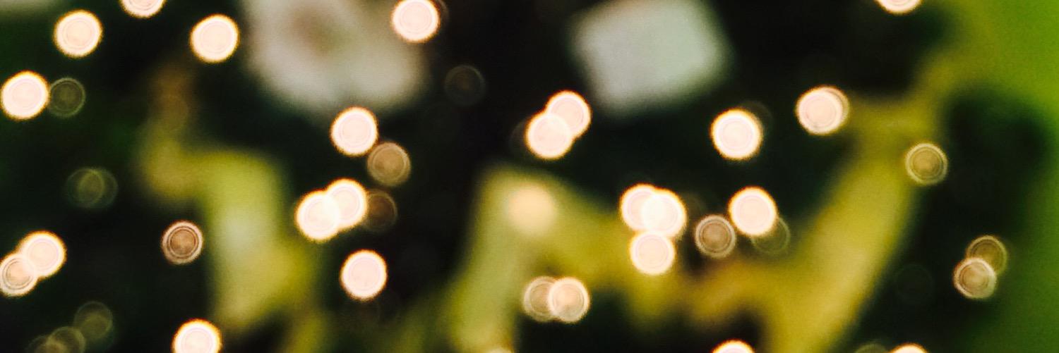 arelifisher's profile banner image