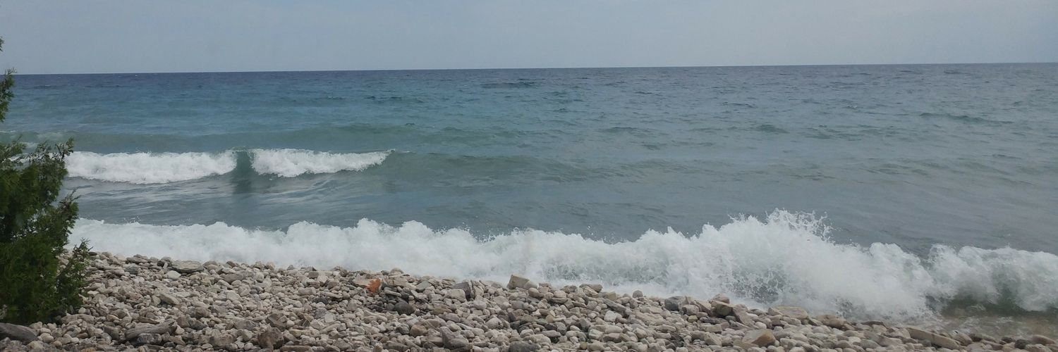 lesleyd7's profile banner image