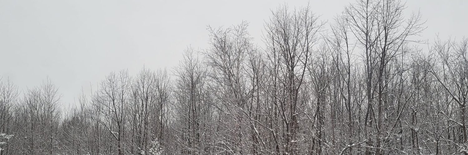rohanmanx's profile banner image