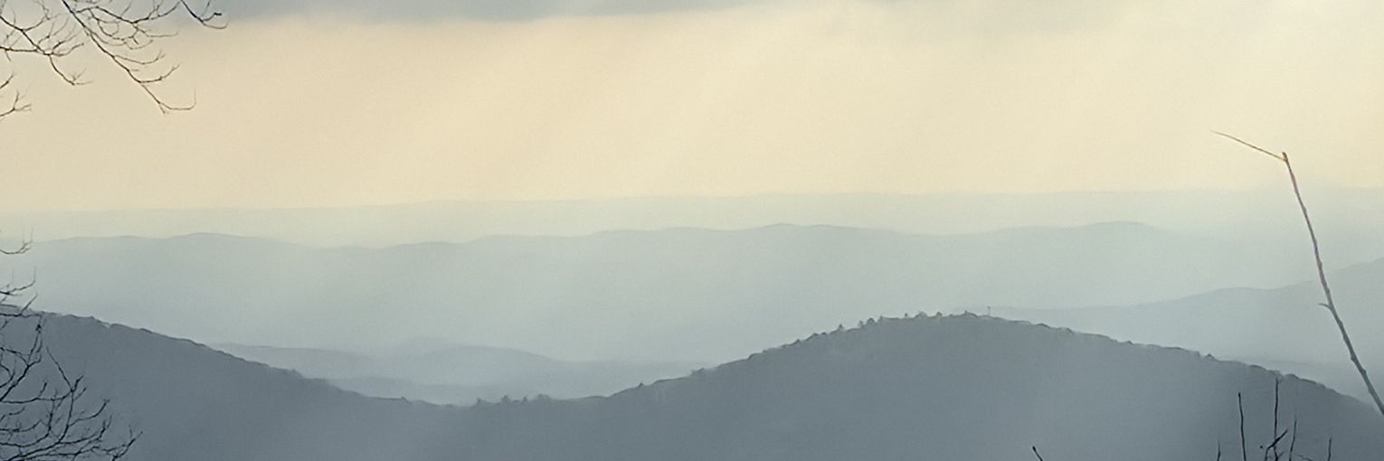 DMCxWTF's profile banner image