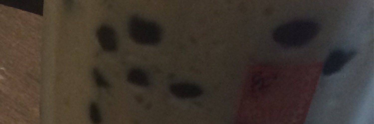 sarumata1981's profile banner image